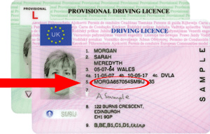 Licence Number